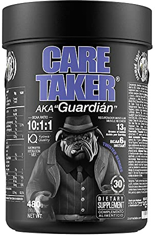 Zoomad Labs CARETAKER® 10:1:1 BCAA Aminoácidos Ramificados en Polvo – BCAA 10:1:1 con Glutamina, Citrulina | Intra Entreno y Recuperación Muscular | Aminoácidos en Polvo | 30 Servicios Cool Lemon
