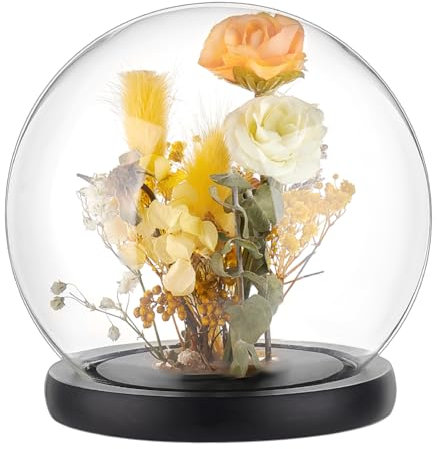 PH PandaHall Campana In Vetro con Cloche A Cupola Da 15 cm con Display In Vetro e Barattoli Decorativi con Base In Legno Nero per Riporre, Campana In Vetro per Fiori San Valentino, Pasqua