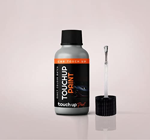 Xtremeauto Touch Up Paint For Suzuki SX4 Silky Silver II Metallic/Silky Silver Metallic ZCC Scratch/Stone Chip Repair, 'All in one' Unique Paint + Lacquer Solution