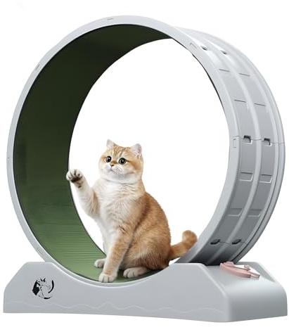 Cat Wheel for Indoor Cats Large Cat Exercise Wheel & Treadmill with Silent