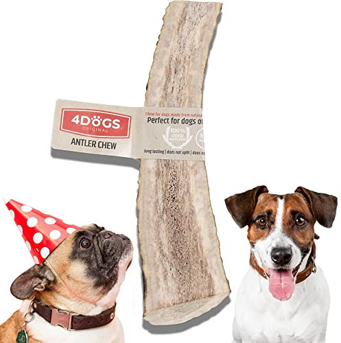 4DOGS ORIGINAL │ Masticativi per cani, corna di cervo naturali di lunga durata, 15 cm di lunghezza │ 1 pezzo facile da masticare │ Corna spaccate per cani di taglia media (8-35 kg)