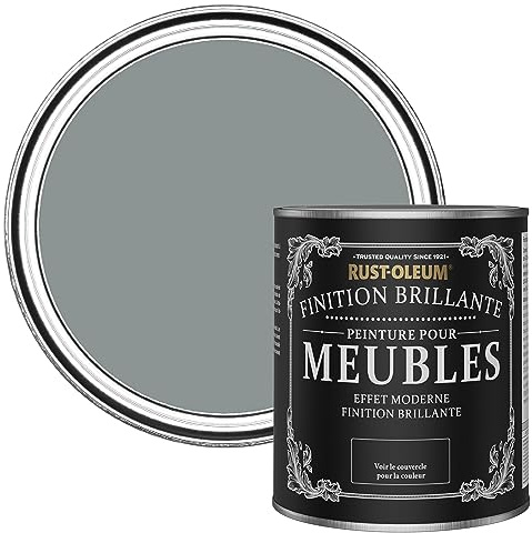 Rust-Oleum Grey Furniture & Skirting Board Paint in Gloss Finish - Slate 750ml