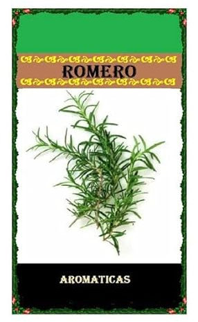 Planta de Romero Semillas Naturales para Cultivar en Casa