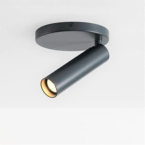 VidaLite Modern LED Surface Pinhole Monopoint Sconce, 180° Rotatable Flush Mount Spot Light Head Dimmable 3000K 600 Lumens, Silver