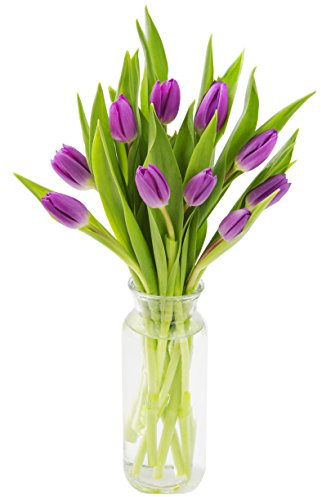 KaBloom Flowers - Valentine Collection - Bouquet, Fresh Purple Tulips With Vase. Gift for Birthday, Sympathy, Anniversary, Get Well, Thank You, Valentine, Mother’s Day Fresh Flowers
