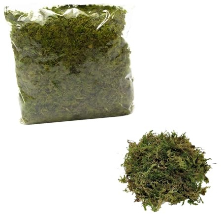 Moranduzzo – Sacchetto Muschio Naturale 120g – Artigianato Made in Italy – Accessori e Materiali per Realizzare un Presepe Tradizionale Fai da Te