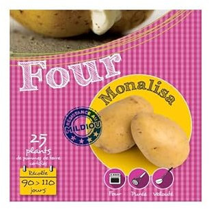 Monalisa 25 Plants de pomme de terre
