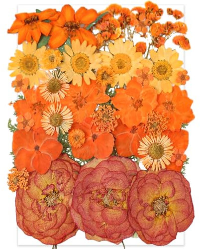 YoothBro Orange Getrocknete Gepresste Blumen für Harzformen, Echte Natürliche Gepresste Blumen für DIY Kunsthandwerk, Kerzenherstellung, Nageldekoration, Seifenherstellung, Handyhüllen