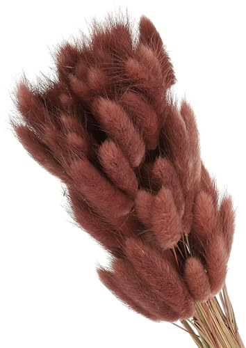 PATIKIL 15.7 Pulgadas Colas de Conejo Flores Secas, 80 Piezas Decoración de Hierba Pampas Cola de Conejo Hierba Pampas Natural a Granel Esponjosa Falsa Hierba Pampas Seca , Marrón
