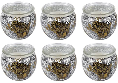HS Candle Scented Candles Motif Pack of 6 in Glass, Long Burning Time and Pleasant Fragrance, Anti Tobacco (Ginger Lime)