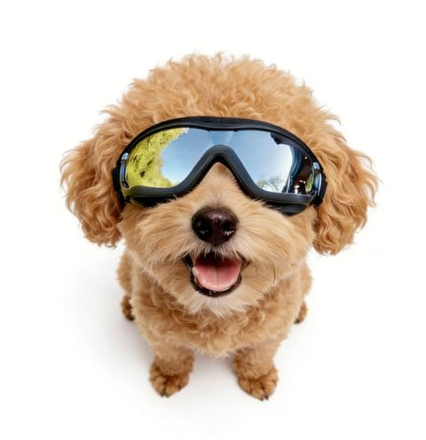 Enjoying Lunettes de soleil pour chiens de petite race, lunettes de protection UV, protection des yeux pour petits chiens, extérieur respirant, coupe-vent, anti-poussière, anti-buée, sangles réglables