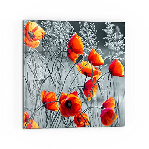 DEQORI Küchenrückwand Glas | Motiv Rote Mohnblumen | 60x60 cm | Bad- oder Herd-Rückwand | Herdblende Spritzschutz für Küche & Badezimmer | Moderne Deko für Fliesenspiegel