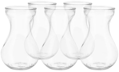 DECORNIJIA Lot de 5 Vases en Verre Transparent pour Culture Hydroponique Pots à Fleurs pour Jacinthes d'eau Décoration Maison et Bureau Contenants Élégants pour Composition Végétale