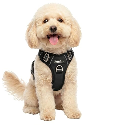 Funfox Dog Harness Small Sized Dog, Vertical Handle Easy Control, No Pull Pet Vest Adjustable with 2 Leash Clips, Soft Material, Reflective Safe Night Walking for Small Medium Large Breed, Black, S