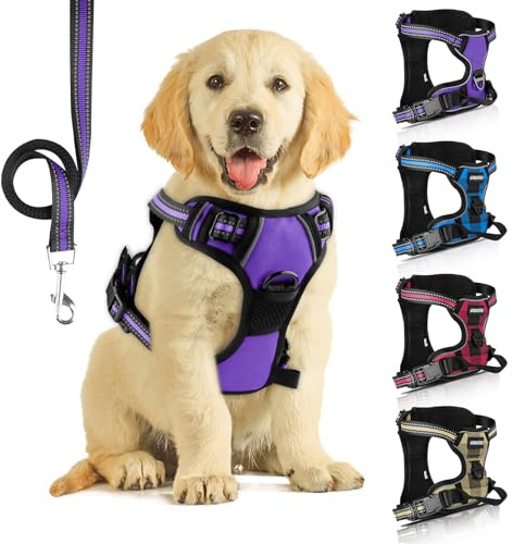 Harnais Chien, Réfléchissant Harnais Anti Traction pour Chien, Violet, S