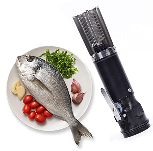 Futchoy Salpicadero eléctrico de acero inoxidable eléctrico para peces, removedor automático de escamas de pescado, resistente al agua, recargable