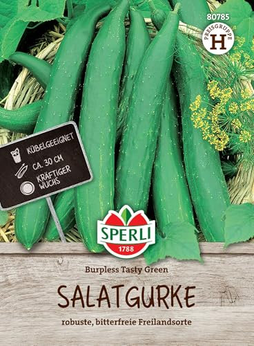 Sperli Salatgurkensamen Burpless Tasty Green, F1 80785 - Robust - Bitterfrei - Ertragreich - Inhalt für 20 Pflanzen - Saatgut, Samen Gemüse, Gemüsesamen