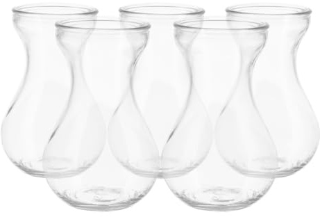 SHINEOFI Lot de 5 Vases en Verre Transparent pour Jacinthes Conteneurs Hydroponiques pour Plantes Décoration Maison et Bureau Vases à Fleurs Simples et Élégants Adaptés à la Culture