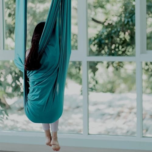 BOSSGE Aerial yogatuch 5m Yoga Hammock Sensory Swing(5M) (Color : D)