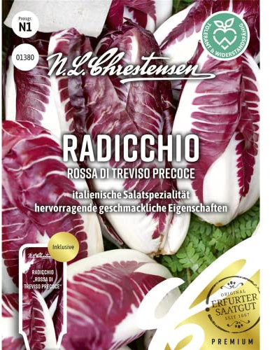 Radicchio Rossa di Treviso precoce, italienische Salatspezialität, Samen, apog-01380