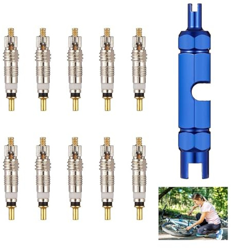11 Pcs Núcleo de Válvula Bicicleta, Kit de Herramientas para Quitar el NúCleo VáLvula Universales Llave Obuses de Válvula tubeless Presta y Schrader Convertidor para Repuesto Reparación de Bicicletas