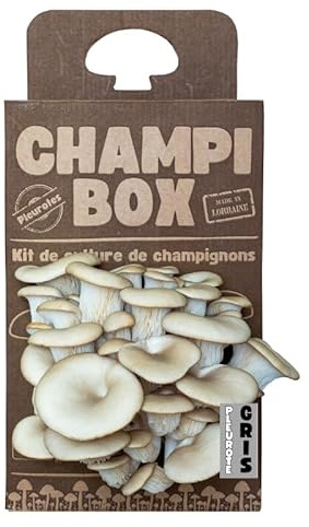 Kit de Culture de Champignons Pleurotes Gris Champibox™ (Pleurotus ostreatus) - Pleurotes Made in France - Gourmand et Éducatif - Idée Cadeau Originale et Naturelle pour Tous - Facile à Utiliser