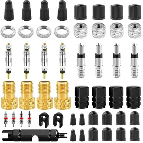 55 Pieces Adaptateur Valve Presta et Obus Valve Presta en Cuivre avec Demonte Obus Valve pour Valve Tubeless VTT et Velo de Route Kit Reparation Velo pour Conversion de Valve Francaise Standard