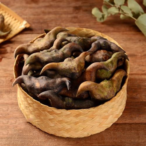 Wassernuss samen seltene pflanzen wasserpflanzen samen Bodendecker steingartenpflanzen Saatgut Alte Sorten obst samen spezielle samen, teichpflanzen Winterhart garten ziergras 300pcs