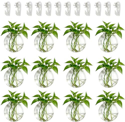NUPTIO 12 st vägghängande glasplanterare 10 cm diameter rund glasväxtkruka - vattenplanteringsvaser luftblomma vas växt terrarier växtbehållare