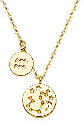 ABDOT Gold Zodiac Necklace for Women 18K Gold Plated Aquarius Astrology Zodiac Constellation Necklace Birthday Gift for Women