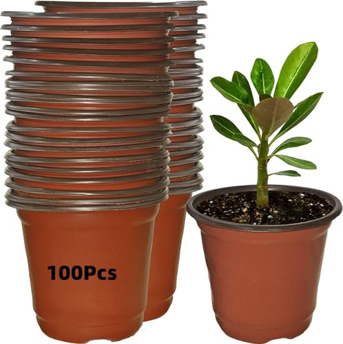 Olicky 100 Pcs Plastic Plant Pots 10cm – Seedling Starter Flower Pots for Indoor & Outdoor Gardening, Reusable Nursery Pots for Vegetables, Herbs & Succulents