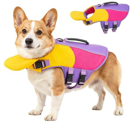 Hund Flytväst Justerbar Flytande Simdräkt Med Nackstöd För Husdjur | Hund Flytväst Med Huvudstöd För Vattenaktiviteter Damm Sjö Bäck Hav Flod Kajak Båtliv Paddleboarding