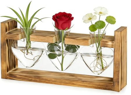 Glas Propagation Station för växter, växtterrarium med träställ, förgreningsväxter i glas, för hemkontor, hyllplats, fönsterbräda, bordsdekoration, för kvinnor män födelsedagspresent (hjärtform)