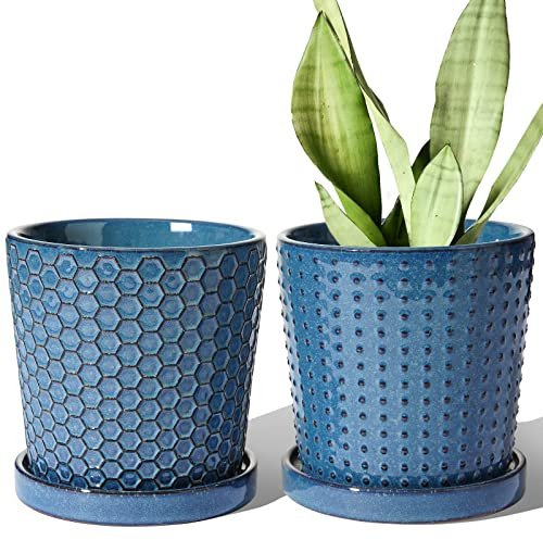 LE TAUCI Keramiska Blomkrukor 13,5 cm, Set med 2, Ytterkrukor med Dräneringshål och Fat, för Suckulenter, Kaktus och Inredning, för Bordsdekor, Hyllor och Hemmakontor, Reaktiv Blå