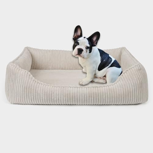 PAW WOW Anton Hundebett | Orthopädisches Hundebett | Hundekörbchen für kleine und mittelgroße Hunde (Beige, 85x65cm)