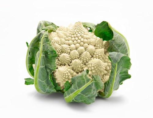 Semi Cavolfiore Precoce di Jesi 6g | Cavolfiore Bianco Varietà Precoce | Semi Alta Germinazione | Raccolto Rapido e Produttivo | Ideali per Orto, Vaso e Serra | Multiseme