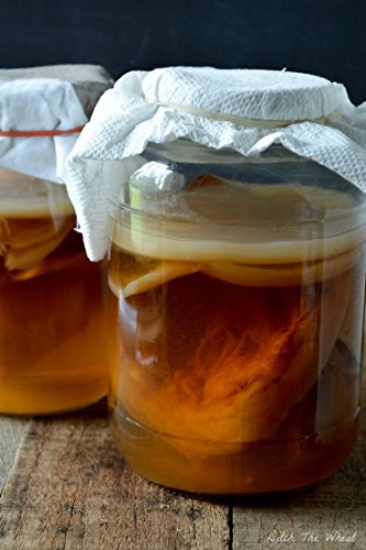 Medium 3 litre Certified Organic Scoby Kombucha with strong liquid starter by RawCultures® Lab Tested by UKAS LAB (ALS Global)