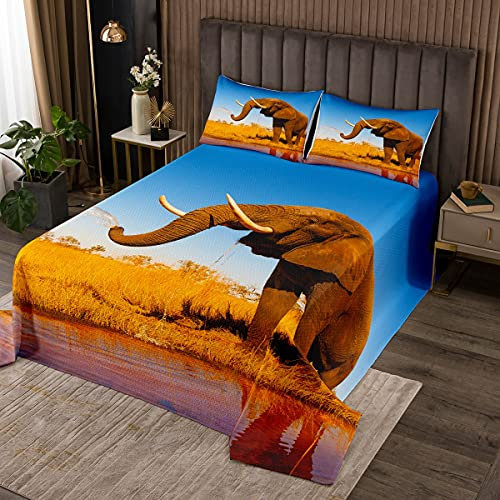Loussiesd Afrika Elefant Tagesdecke 220x240cm Wohndecke Wiese Elefant Motiv Bettüberwurf Wilde Tiere weich und kuschelig für Kinder Mädchen Jungs Mikrofaser Steppdecke Grelle Farbe
