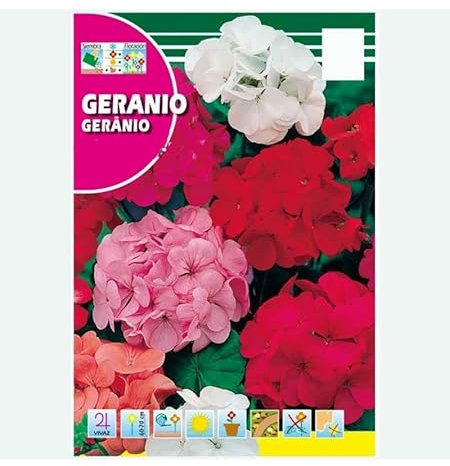 Semillas de Geranio | DECOALIVE | Semillas Flores Naturales | Flores Terraza y Jardín