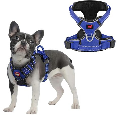 Tuff Pupper No Pull Easy Walk Dog Harness | Heavy Duty Pet Vest | Front & Back Leash Clips | Strong Safety Handle | Reflective Anti Pull Vest | Comfortable Padded Escape Proof Harness (Small, Blue)