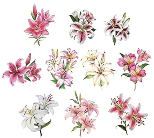Idéer med hjärta 3-D-motiv, stansade, ca 7–10 cm, 10 stycken i påse | bilder för pyssel och dekoration | gör gratulationskort själv | bildmotiv för scrapbooking och gör-det-själv-dekoration (eleganta