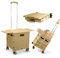 Panier d'achat Pliable, Housse coulissante magnétique rétractable, Chariot en Plastique Pliable avec 4 Roues, 55 kg, pour Le Camping, Les Courses, Le Transport, la boîte de Rangement sur roulettes