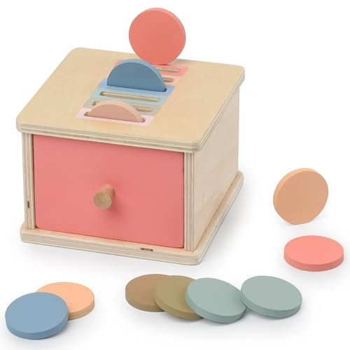 KidMigo Sortierspiel Steckspiel ab 1 Jahr Montessori Holzspielzeug: Lernspielzeug Baby Geschenk Junge