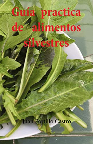 guía practica de alimentos silvestres