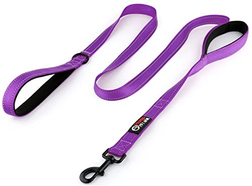 Primal Pet Gear Dog Leash 6ft Long,Traffic Padded Two Handle,Heavy Duty,Reflective Double Handles Lead for Control Safety Training,Leashes for Large Dogs or Medium Dogs,Dual Handles Leads(Purple)