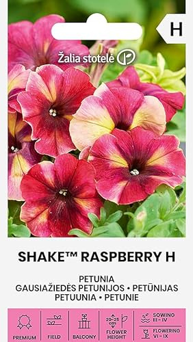 Zalia Stotele | Petunia - SHAKE™ RASPBERRY H semillas | Semillas de flores | Semillas de plantas | Semillas de jardín | Planta anual, colgante y de abundante floración | 1 paquete
