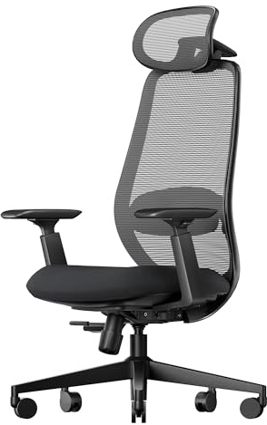 ProtoArc Ergonomic Office Chair – EC200 High-Back Mesh Computer Chair with Lumbar Support, 3D Adjustable Headrest & Sliding Seat for 8+ Hour Comfort, Big & Tall Home Office Desk Chairs - Black