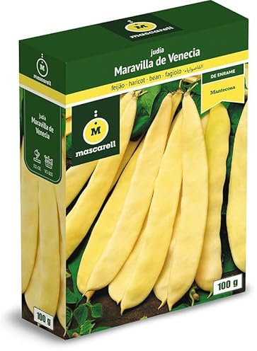 Mascarell Semillas, JUDÍA MARAVILLA DE VENECIA, Semillas Leguminosas, Fácil de Cultivar en Casa, 100 G.