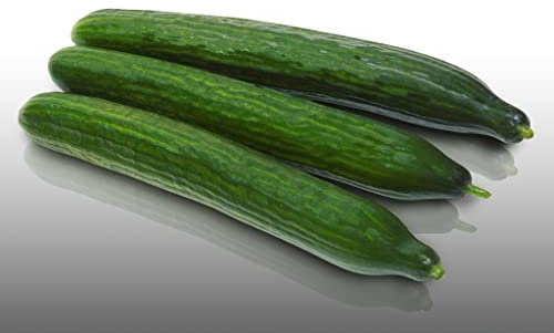 25 graines à semer - Le Grenier d'Abondance - CONCOMBRE Long Anglais - Cucumis sativus
