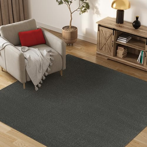 TAPISO Mono Quadrat Teppich Kurzflor Indoor Outdoor UV-beständig Dunkelgrau Einfarbig Wohnzimmer Schlafzimmer Kinderzimmer Modern ÖKO-TEX 160 x 160 cm